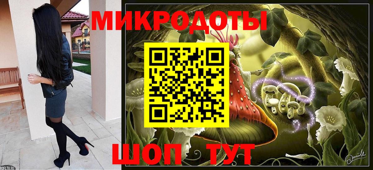 Галлюциногенные грибы Psilocybe  Псилоцибиновые грибы прущие грибы  Вход с VPN  Десногорск 