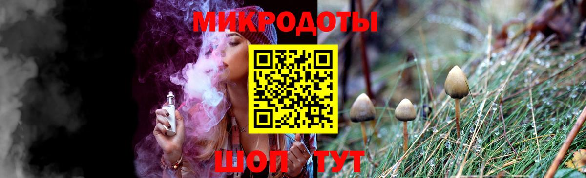 Псилоцибиновые грибы Psilocybine cubensis Десногорск